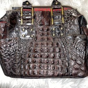 Alligator Texture Purse